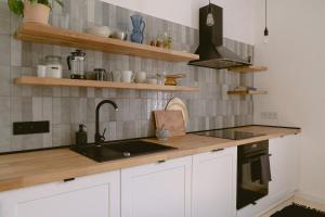 a kitchen with a sink and a counter top at Alfreda in Sokołowsko