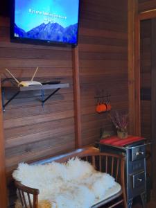a living room with a tv and a couch and a chair at Cabana Deck 2 in Orleans