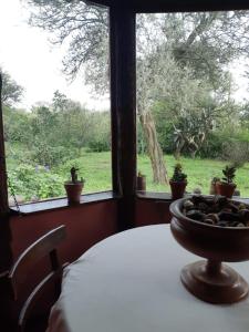 Habitación con mesa y ventana con plantas. en CASIOPEA. Casa de campo, en Barrio Parque El Corcovado