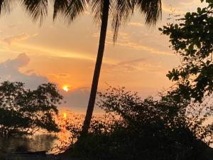 una puesta de sol sobre el océano con palmeras en Cabina La Pina, en Puerto Jiménez