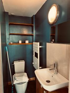a bathroom with a white toilet and a sink at Studio indépendant et calme avec Jacuzzi à Lille in Lille