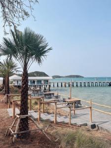 un palmier assis à côté d'une table de pique-nique près de l'eau dans l'établissement Rimtalay Resort Koh Larn, à Ko Larn