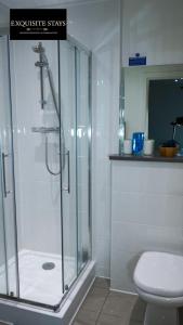 a bathroom with a shower and a toilet at Exquisite, 2 bed apartment with free parking! in Coventry