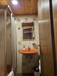 a bathroom with an orange sink and a shower at Am Wehrastrand Einzelappartment in Todtmoos