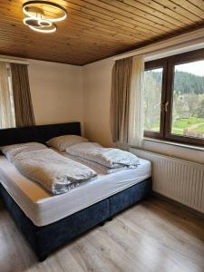 a bed in a room with a large window at Am Wehrastrand App 2 in Todtmoos