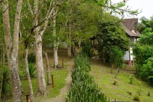 a path through a forest next to a house at Samai Lodge Holistic Living in Olón