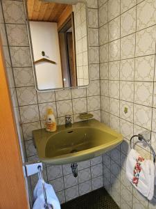 a bathroom with a green sink and a mirror at Am Wehrastrand App 5 in Todtmoos