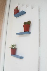 tre piante in vaso sedute su un muro bianco di Darahome a Cunit