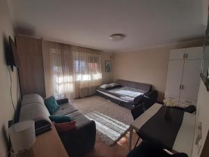 ein Wohnzimmer mit einem Sofa und einem Bett in der Unterkunft Boróka 3 Apartman in Hajdúszoboszló