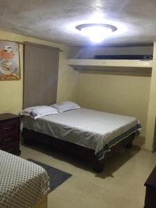 a bedroom with two beds and a light on the ceiling at La hermosa hotel in Santa Cruz de Barahona