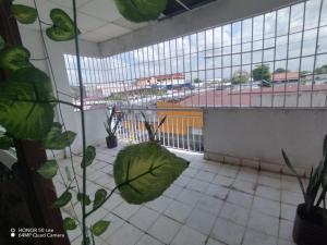 Cette chambre dispose d'un balcon avec des plantes et des fenêtres. dans l'établissement Alojamiento David, à David