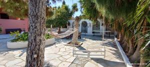 a resort with palm trees and a hammock in a courtyard at Aegina town, summer house in Aegina Town