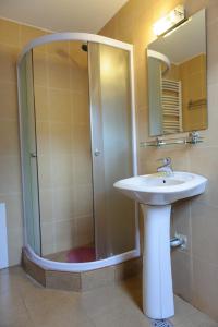 ein Badezimmer mit Dusche, Waschbecken und Spiegel in der Unterkunft Pensiunea Aries Arieseni in Arieşeni