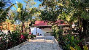 una pasarela que conduce a una casa con palmeras en Termales la Montaña “ Suite Jr Aire de Montaña 5”, en Ahuachapán