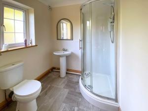 a bathroom with a shower and a toilet and a sink at Bryn Y Gog Tregaron in Tregaron