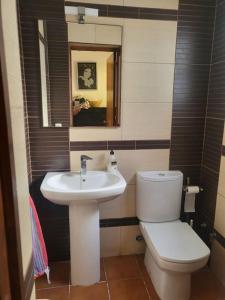 La salle de bains est pourvue de toilettes blanches et d'un lavabo. dans l'établissement BERJA33, à Roquetas de Mar