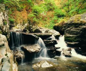 ein Wasserlauf, der über Felsen in einem Wald fließt in der Unterkunft Shire Cottage Devils Bridge in Yspytty Cynfyn