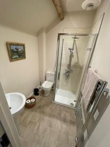 a bathroom with a shower and a toilet and a sink at The Granary in Kington