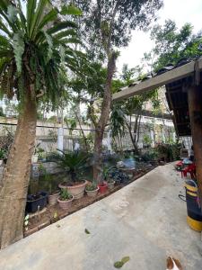 a garden with a lot of potted plants and trees at Homestay Nature in Na Hang