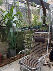 a chair sitting in a garden with plants at Homestay Nature in Na Hang