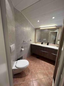 La salle de bains est pourvue de toilettes, d'un lavabo et d'un miroir. dans l'établissement Solhøgda, à Sortland