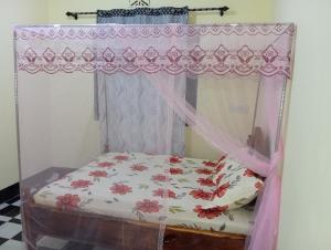 a bed in a room with a canopy at Kilimanjaro Home in Boma la Ngombe
