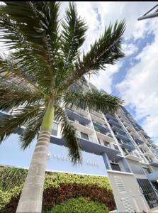 a palm tree in front of a large building at 2 bed 2 bath Luxury Condo in Miami