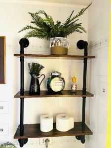 a shelf with toilet paper and a plant on it at Yellow House in Teramo
