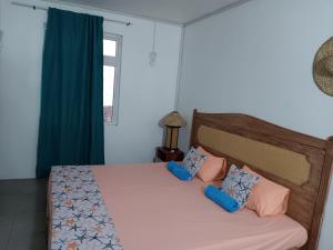 Schlafzimmer mit einem Bett mit blauen und rosa Kissen in der Unterkunft Le bijou chez laineda in Mt Bois Noir