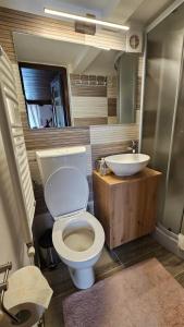 a bathroom with a toilet and a sink at Napoca Ultracentral Loft in Cluj-Napoca +28 photos