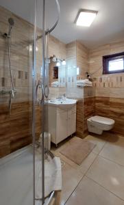 La salle de bains est pourvue d'une douche, d'un lavabo et de toilettes. dans l'établissement APARTAMENTY "U Bliźniaków", à Zakopane