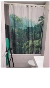 a bathroom with a shower curtain and a toilet at Room in Marzili in Bern