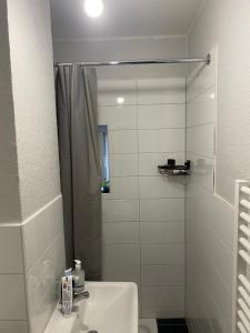 een badkamer met een douche, een wastafel en een spiegel bij Cozy 2 Rooms Apartment in Bochum