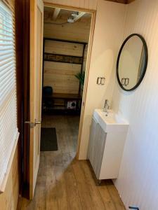 een badkamer met een wastafel en een spiegel aan de muur bij Equuleus Lofted Kabin in Fenelon Falls