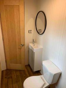 een badkamer met een toilet, een wastafel en een spiegel bij Equuleus Lofted Kabin in Fenelon Falls
