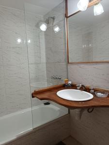 uma casa de banho com um lavatório, um chuveiro e uma banheira em Hostería Rutalsur em Tolhuin