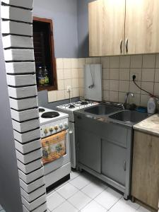 a kitchen with a stove and a sink at Vikendica DUNAV Vinci in Golubac
