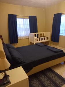 a bedroom with a bed and blue curtains at Hill Top Villa (HTV) 