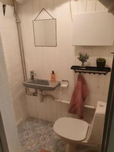 Un baño pequeño con inodoro y lavabo. en Sentral leilighet, nært tog, buss, sykehus og byen, en Bodø 17 fotos más