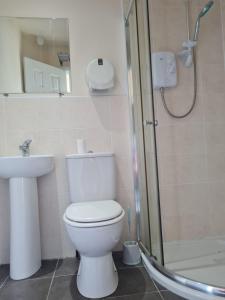 a bathroom with a toilet and a shower and a sink at Scottish Equi B&B in Lanark