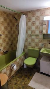 ein Badezimmer mit grünem WC und Dusche in der Unterkunft Ferienwohnung in Savognin in Savognin