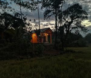 ein kleines Haus mit Licht auf einem Feld in der Unterkunft Sinharaja Serenity in Deniyaya