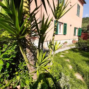 a house with palm trees in front of it at Dal Moro 44 