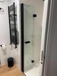 a shower with a glass door in a bathroom at Leonmisol in León