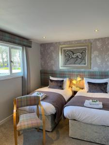 um quarto com duas camas e uma cadeira. em Scottish Equi B&B em Lanark