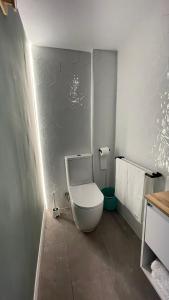 a bathroom with a white toilet in a room at Origen Valladolid in Valladolid