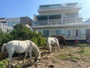 a group of horses grazing in front of a building at YOLO House Beach in Asia