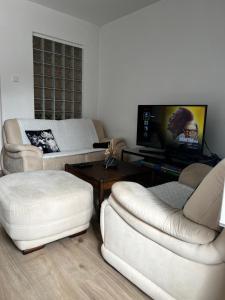 Útulný apartmán v historickém centru města Písek的电视和/或娱乐中心