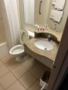 uma casa de banho com um lavatório, um WC e um espelho. em Red Carpet Inn Quantico em Dumfries
