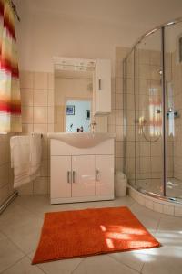 y baño con lavamanos, ducha y alfombra. en Flataid Apartment Elisabethinergasse, en Graz